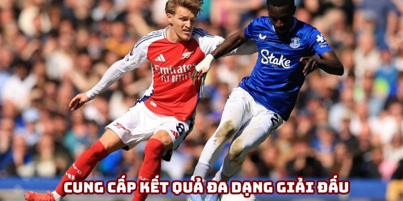 Cung cấp kết quả đa dạng giải đấu Cung cấp kết quả đa dạng giải đấu