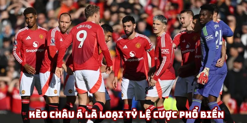 Kèo châu Á là loại tỷ lệ cược phổ biến Kèo châu Á là loại tỷ lệ cược phổ biến